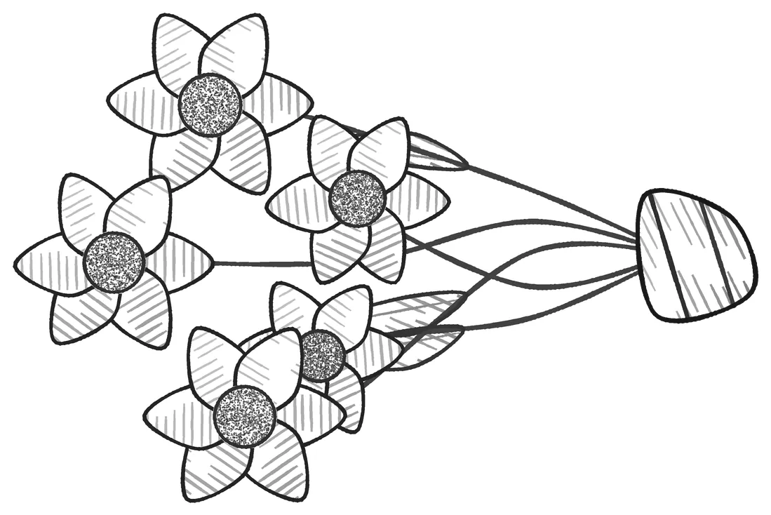 A bunch of flowers, stems gathered and tied.